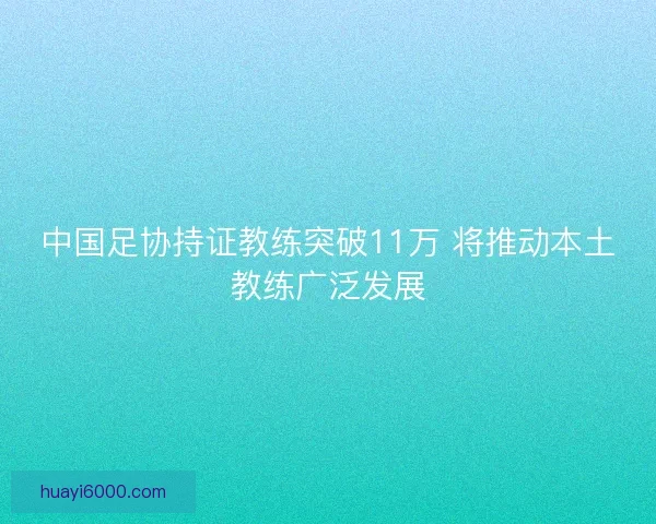 中国足协持证教练突破11万 将推动本土教练广泛发展